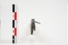 Foto von Eisenhakenschlüssel (NHMW-PRAE-026538)
